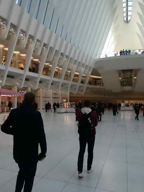 NYC_2020-01-29 13-34-01_P1080593